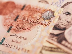 سعر الدولار في السوق السوداء في مصر