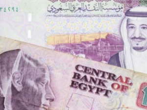 سعر الريال السعودي مقابل الجنيه