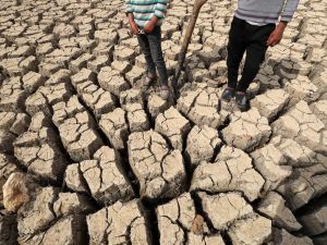 صورة ملتقطة في مدينة نابل التونسية الصيف الماضي
