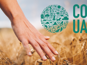 Royal Innovative: “We need a new food system ensuring that we give more to nature than we take from it”