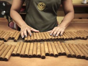 A worker of the Joya de Nicaragua tobacco factory checks the cigar's quality in Esteli, Nicaragua. (Photo by Oswaldo RIVAS / AFP) Nicaraguan cigars