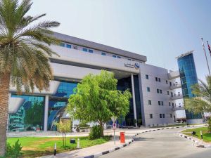 المعاملات الجمركية تقفز 17 % إلى 30 مليون وبنسبة سعادة 98% في 2023