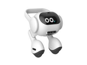 LG Ushers In ‘Zero Labor Home’ With Its Smart Home AI Assistant At CES 2024