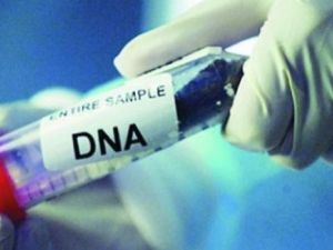 DNA