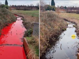 نهر الدم في برمنغهام