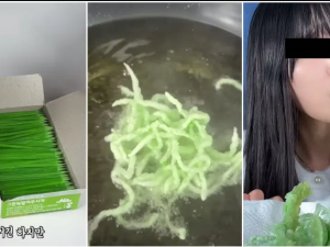 أعواد الأسنان المقلية