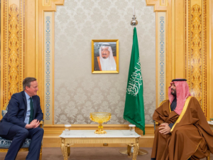 British Foreign Minister, David Cameron (L), during his meeting with the Saudi Crown Prince, Mohammed Bin Salman
