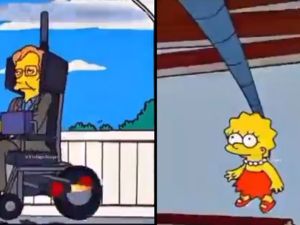 The Simpsons
