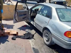 عملية رعنانا شمال مدينة تل أبيب