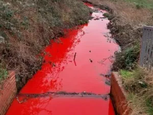 نهر يتحول لونه إلى الأحمر 
