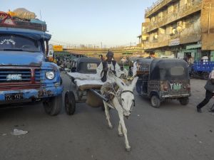 Sudan