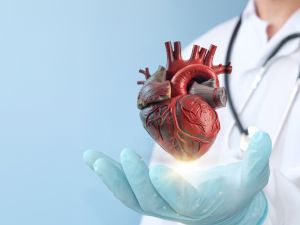 طبيب البوابة: نصائح لتقليل خطر الإصابة بأمراض القلب والأوعية الدموية
