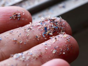 microplastics