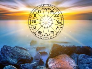 Each zodiac