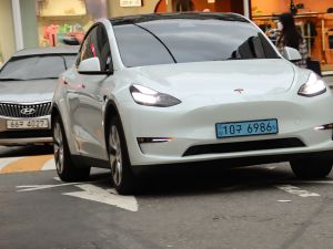 Only a single Tesla was sold in South Korea in January