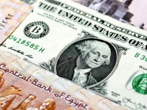 سعر الدولار اليوم في مصر