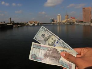 سعر الدولار اليوم في مصر