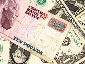 سعر الدولار اليوم مقابل الجنيه المصري