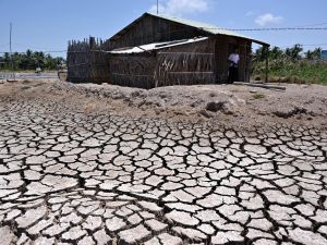 Parched dried-up pond in Vietnam's southern Ben Tre province. (Photo by Nhac NGUYEN / AFP) Vietnam farmers