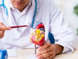 طبيب البوابة: لماذا تعاني النساء من مشاكل القلب أسوأ من الرجال؟