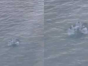 حقيقة أم وهم؟