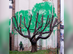 Banksy on Instagram Banksy
