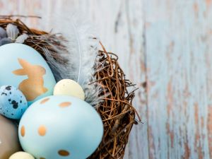 Shutterstock   Easter egg