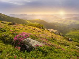 Shutterstock  vernal equinox