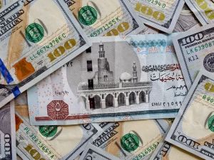 سعر الدولار اليوم مقابل الجنيه المصري