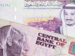 سعر الريال السعودي مقابل الجنيه المصري