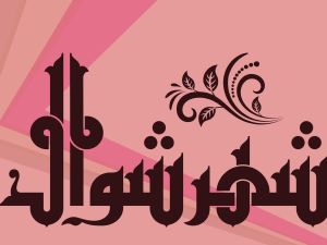 كلام عن صيام الست من شوال