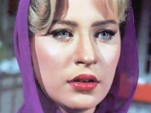 Sherine Seif Al-Nasr