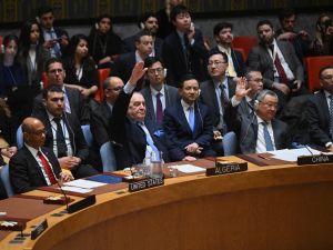 UN Security Council