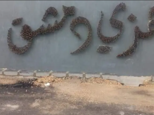 عبارة هزي دمشق