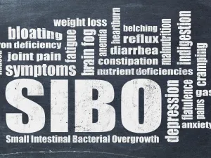 طبيب البوابة: ما هو سيبو (SIBO) وهل يؤثر على حالتك الصحية؟