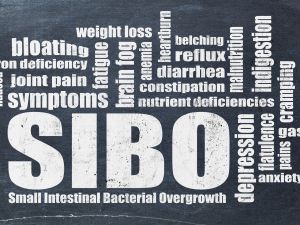 طبيب البوابة: ما هو سيبو (SIBO) وهل يؤثر على حالتك الصحية؟
