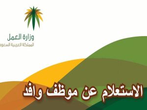 أون لاين.. خطوات الاستعلام عن موظف وافد صلاحية إقامة