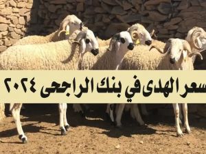 احجز اضحيتك من الجوال | سعر الهدي في بنك الراجحي 2024 وطريقة الشراء إلكترونيًا