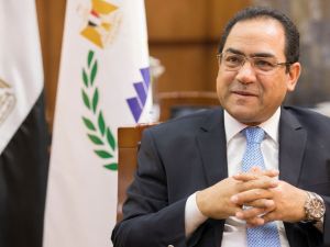 التنظيم والإدارة المصرية
