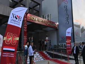 بنك ناصر المصري يعلن عن متطلبات تمويل المشروعات 