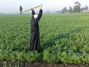 تعرف على مزايا كارت الفلاح الذكي في مصر
