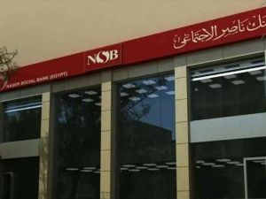 تمويل بنك "ناصر" للمشروعات متناهية الصغر للجنسين وهذه الشروط!