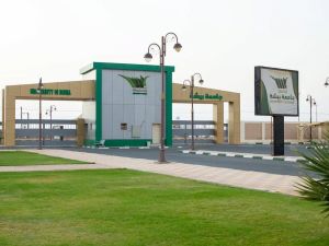 جامعة بيشة