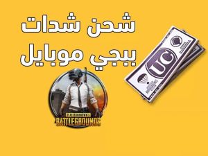 شحن شدات ببجي