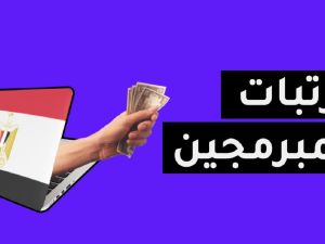 متوسط رواتب المبرمجين في مصر