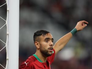 محامي الشيبي