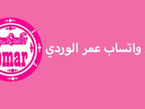 مزايا وعيوب واتس اب عمر البينك
