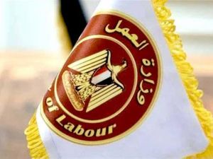 وزارة العمل المصرية تعلن عن 945 فرصة 