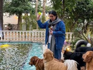 إغلاق أول مقهى للكلاب في إيران إغلاق أول مقهى للكلاب في إيران