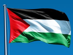 العلم الفلسطيني